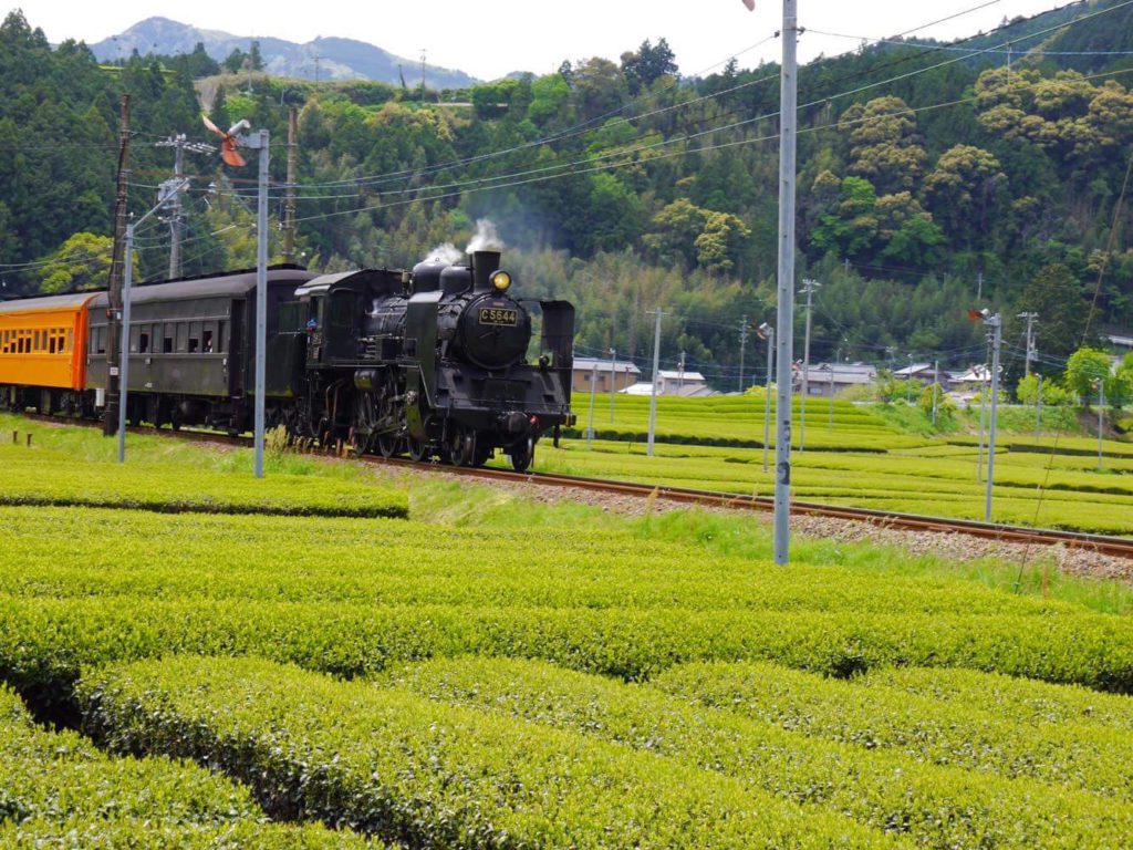 Japan Cultural & Scenic Journey